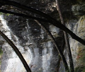 DSC00134 Lake Wanaka - near Diamond Lake