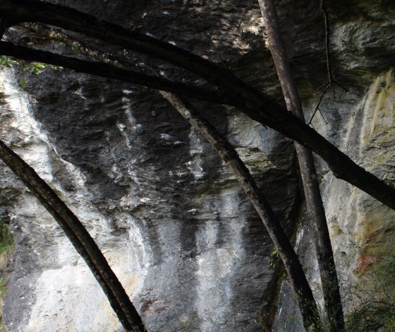 DSC00134 Lake Wanaka - near Diamond Lake