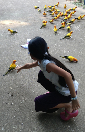 2013-04-27 16.55.11c